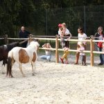 Children watching ponies at Camping Pré des moines farm