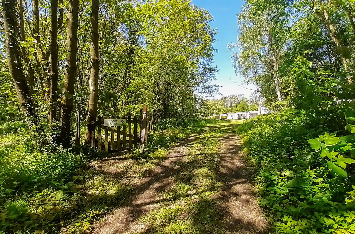camping foret oise